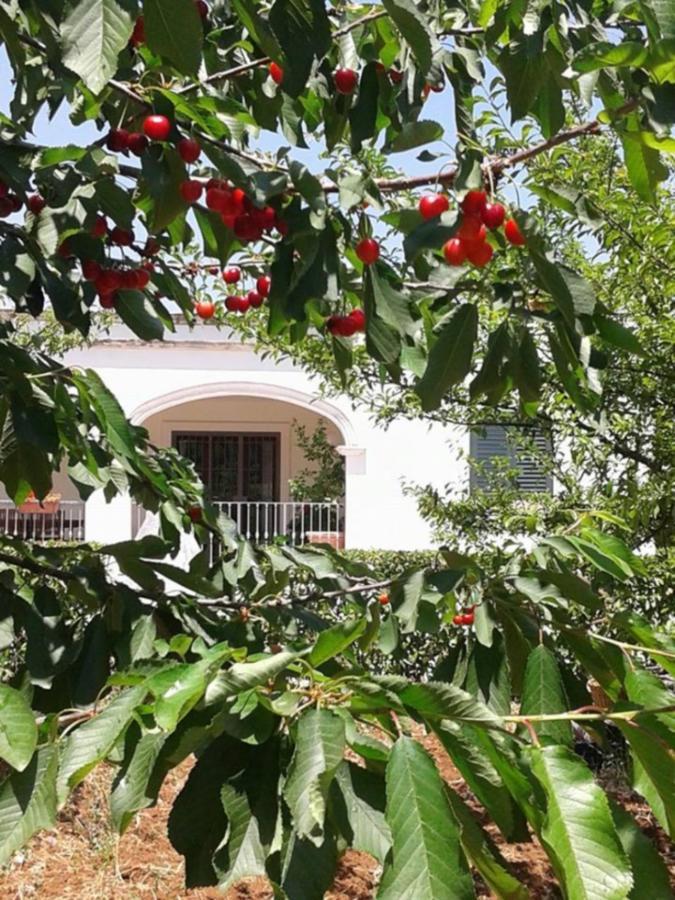 La Volpina Bed and Breakfast Martina Franca Eksteriør billede
